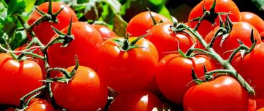 Tomaten, Foto Pixabay
