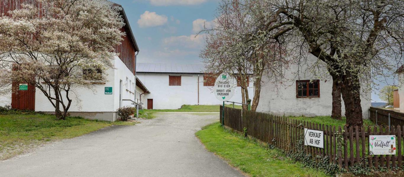Einfahrt zum Biolandhof Schlossbauer in Kutzenhausen. Foto: Julia Pietsch