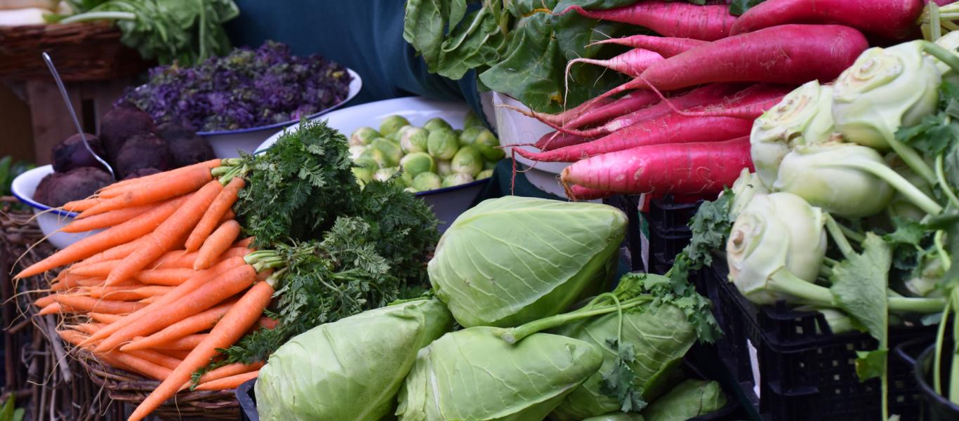 Kohl, regionales Gemüse, Bio-Gemüse, regionale Lebensmittel, Selbsternte, gesund essen, Essen nach Jahreszeiten, Laurin Oberneder, Foto: Cynthia Matuszewski