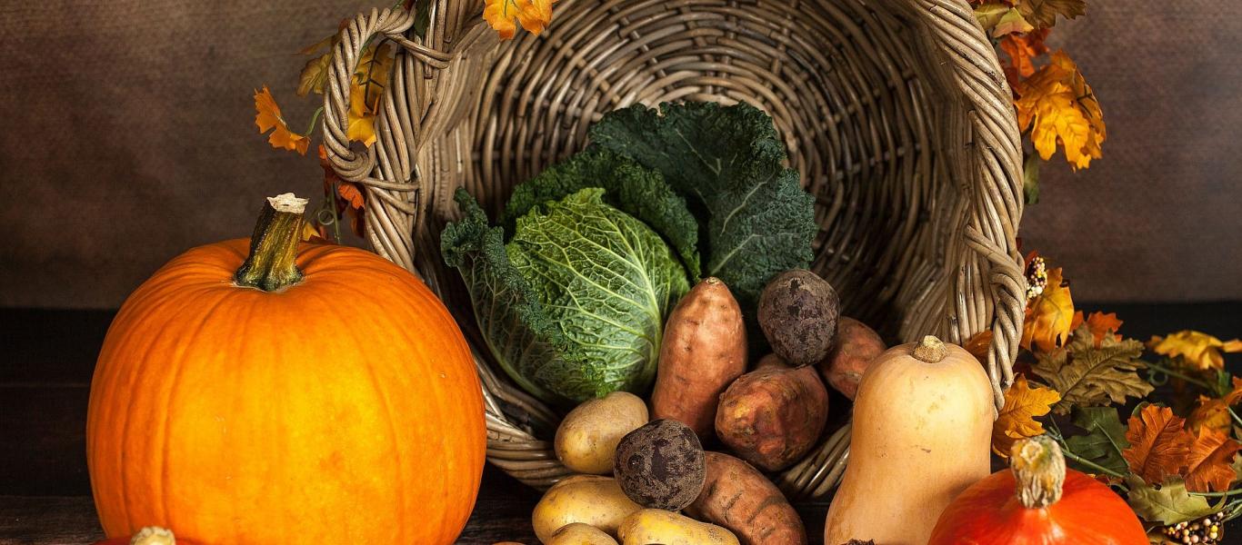 Foto: Sabrina Ripke_Pixabay, Kürbis, Pumpkin, Gemüse, Wintergemüse 